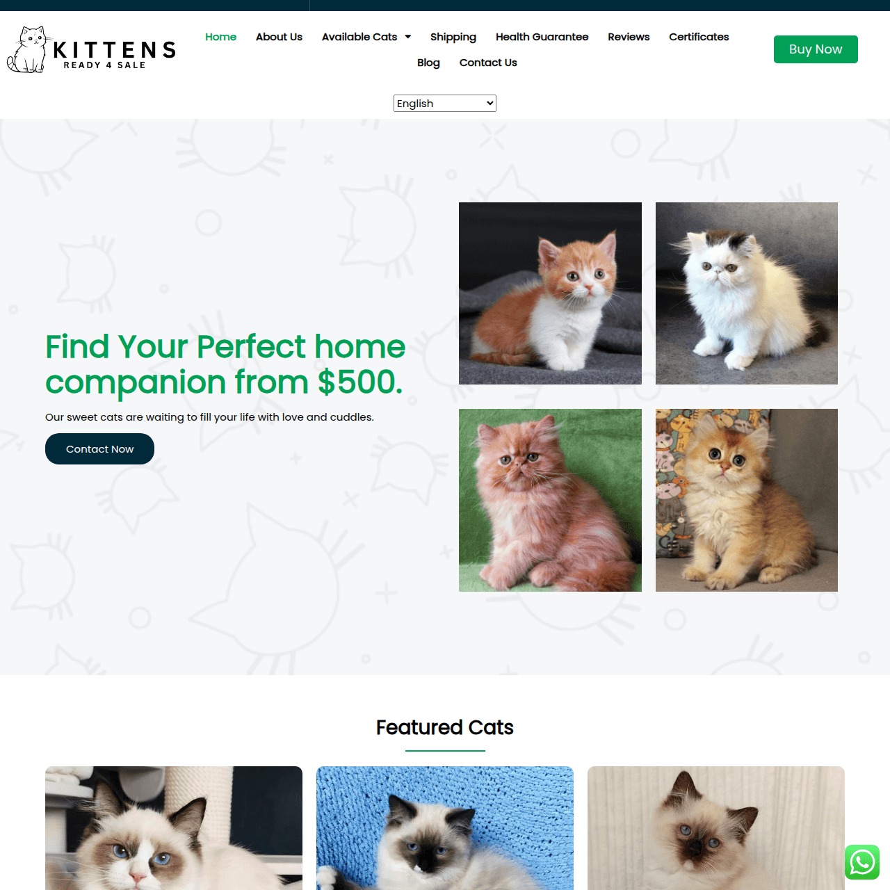 https-www.kittensready4sale.com-